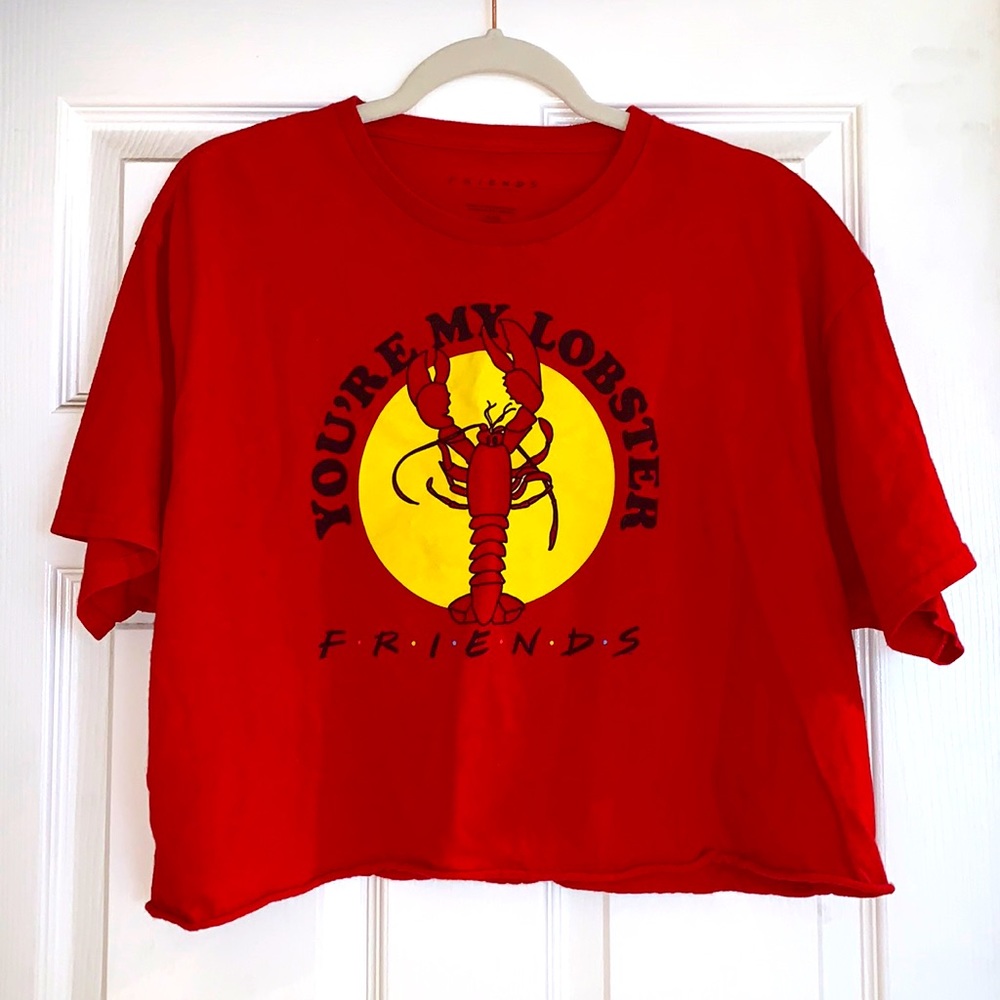 Friends Cropped Tshirt